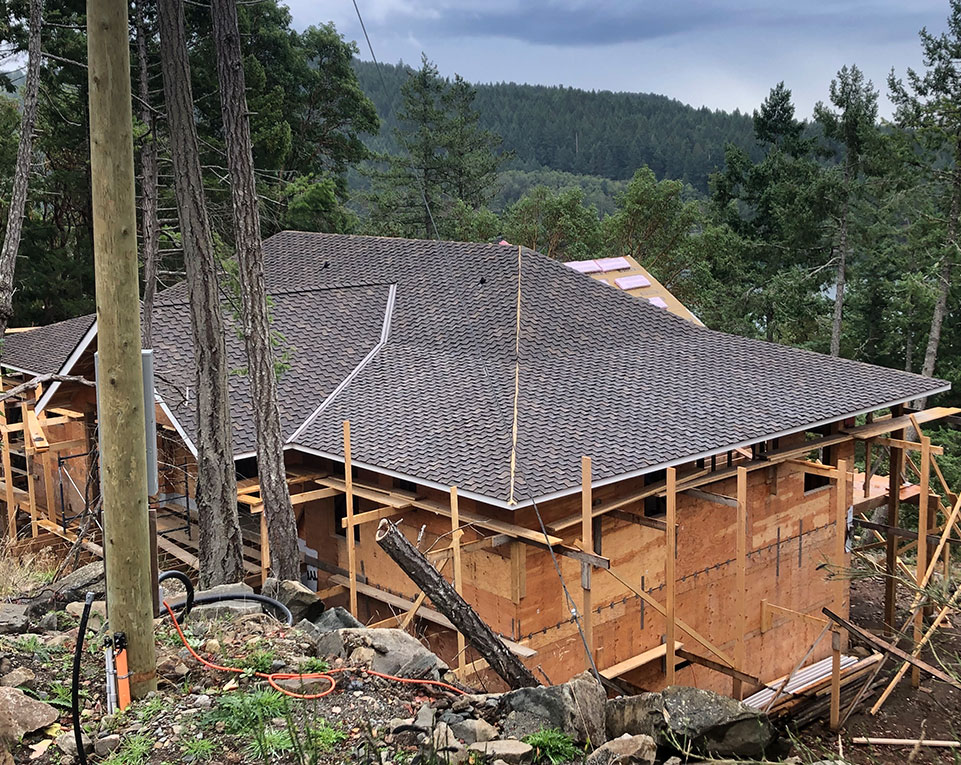 A new M&M shingle roof on a house still in framing, among the firs